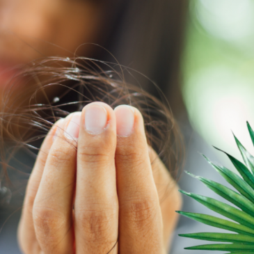 Can Saw Palmetto Prevent Hair Loss in Women?