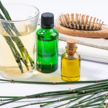 How Does Horsetail Help With Hair Loss?